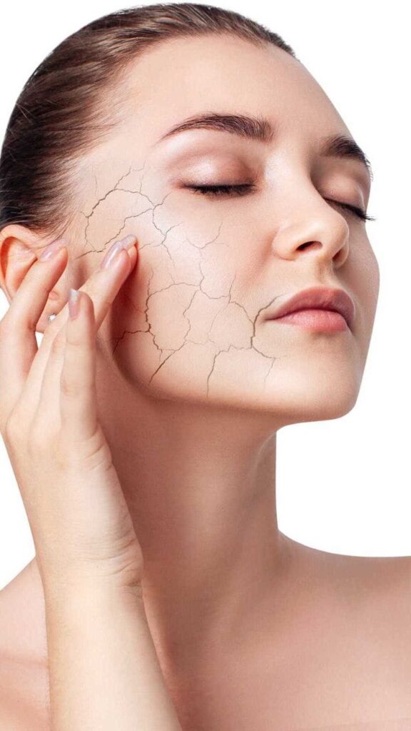 Daily Dry Skincare Routine