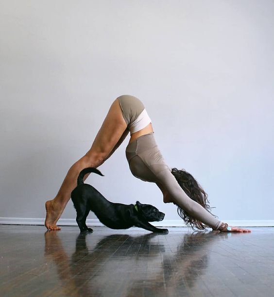 A complete guide about puppy yoga poses puppy yoga pose